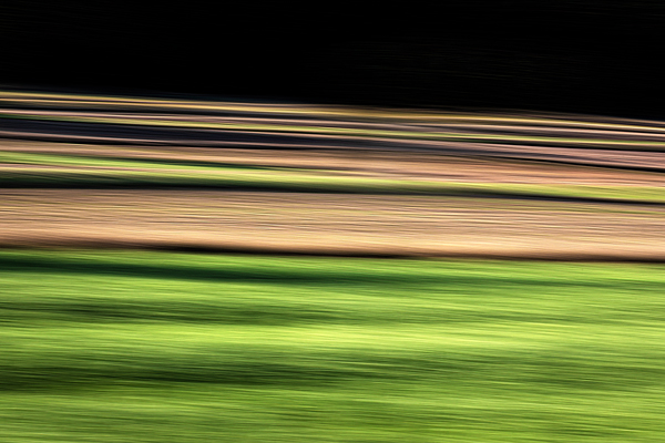 cRoswithaStelzer_Rose_Sita_Photography-Fotografie_stelzerroswitha_FineArt-_Contemporary