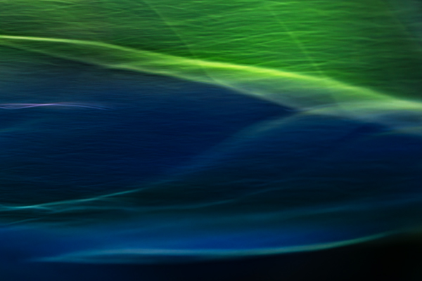 cRoswithaStelzer_Rose_Sita_Photography-Fotografie_stelzerroswitha_FineArt-_Contemporary_Closeup_Makro_Macro