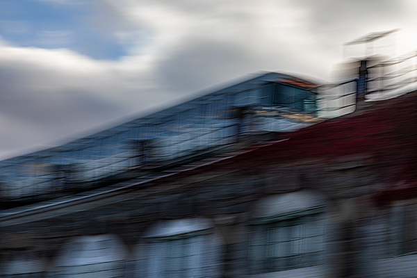 cRoswithaStelzer_Rose_Sita_Photography-Fotografie_stelzerroswitha_FineArt_Contemporary