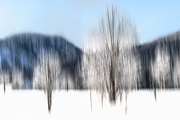cRoswithaStelzer_Rose_Sita_Photography-Fotografie_stelzerroswitha_FineArt_Contemporary