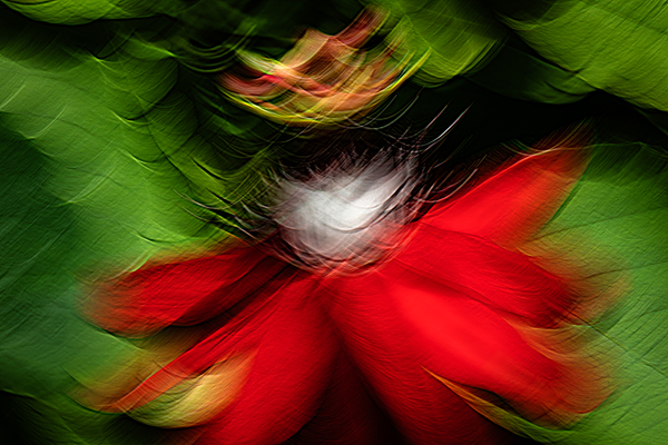 Photography-Fotografie_FineArt; Makro-Macro; Intentional-Camera-Movement; contemporary; ICM; Creative-Edit; Abstract