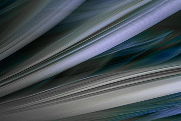 cRoswithaStelzer_Rose_Sita_Photography-Fotografie_stelzerroswitha_FineArt_Contemporary_Closeup