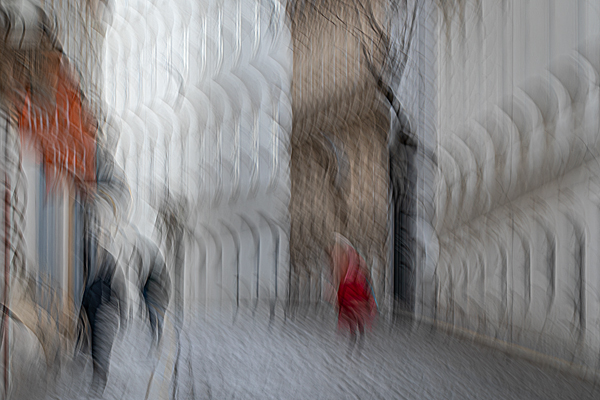 cRoswithaStelzer_Rose_Sita_Photography-Fotografie_stelzerroswitha_FineArt_contemporary_