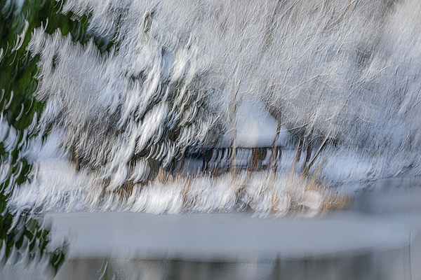 cRoswithaStelzer_Rose_Sita_Photography-Fotografie_stelzerroswitha_FineArt_contemporary_