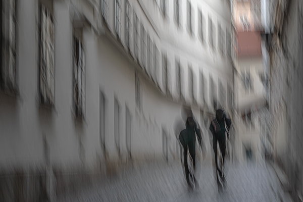 cRoswithaStelzer_Rose_Sita_Photography-Fotografie_stelzerroswitha_FineArt_contemporary_