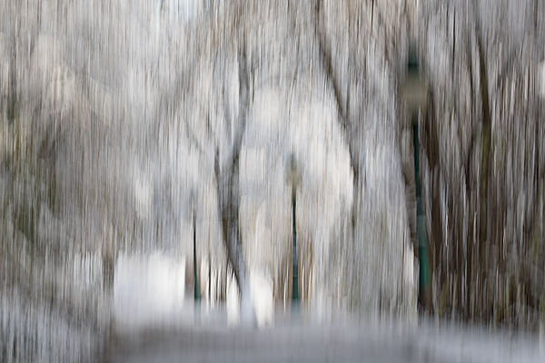 cRoswithaStelzer_Rose_Sita_Photography-Fotografie_stelzerroswitha_FineArt_contemporary_