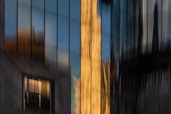 cRoswithaStelzer_Rose_Sita_Photography-Fotografie_stelzerroswitha_FineArt-_Contemporary